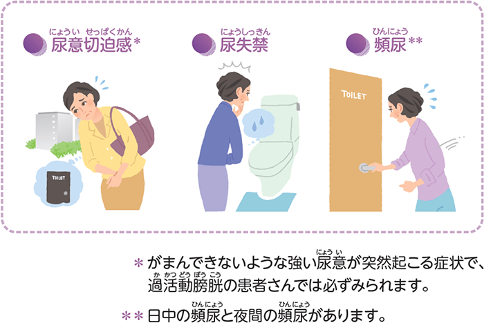●尿意切迫感 ●尿失禁 ●頻尿